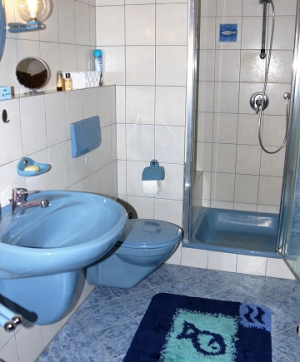 Untergeschoss: Bad mit Dusche und WC